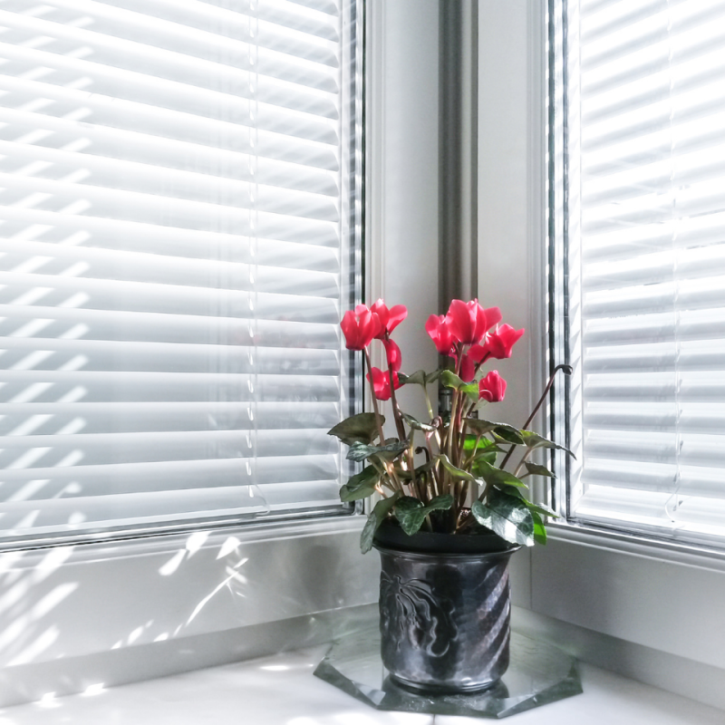 Žaluzie I interierová